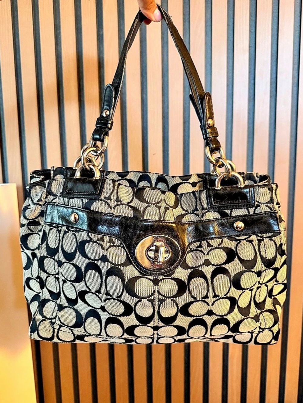 Coach Penelope Carry All Shoulder Bag